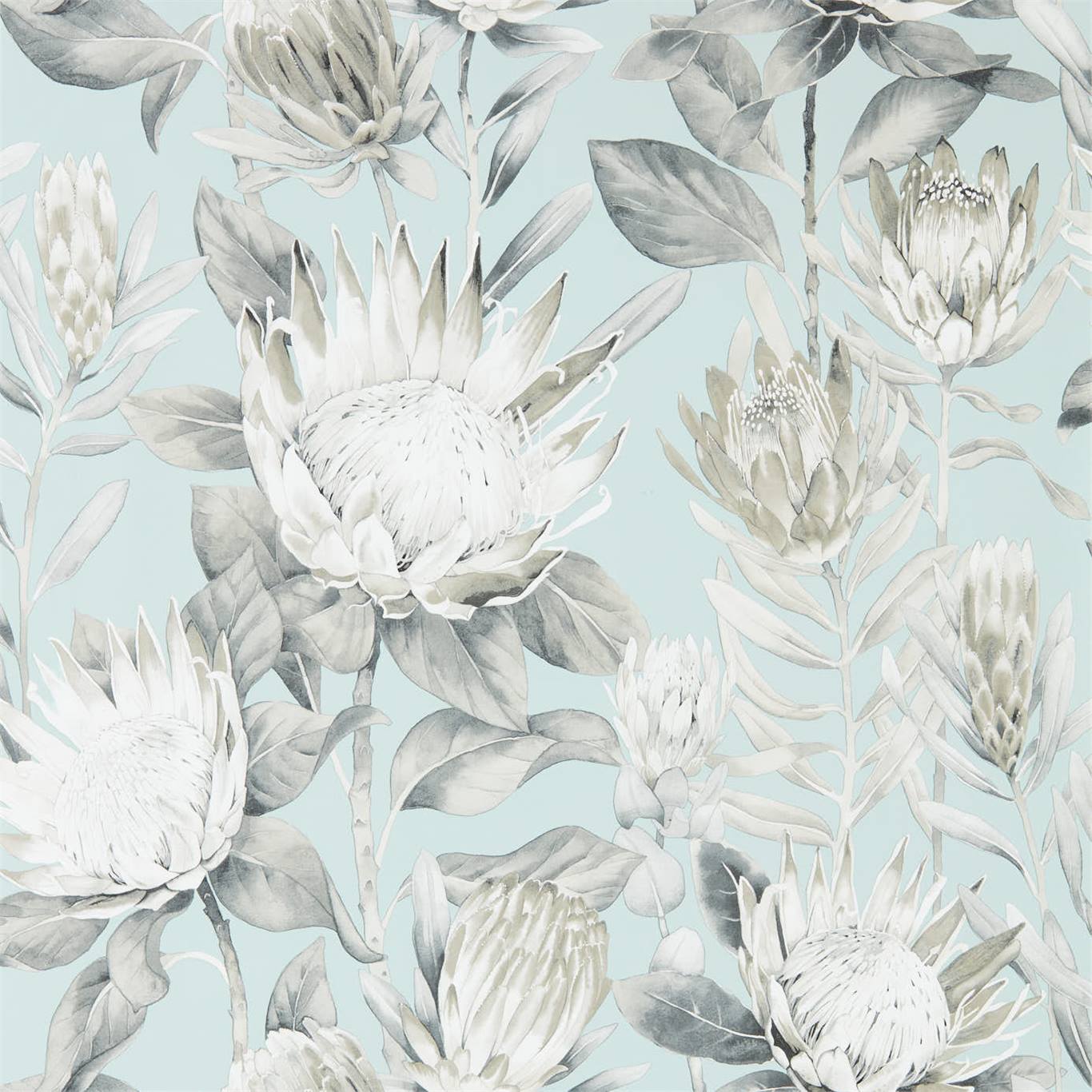 Обои Sanderson The Glasshouse King Protea 216645 Обои Sanderson The Glasshouse King Protea 216645